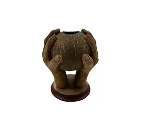 hand carved coconut husk pen stand & vase