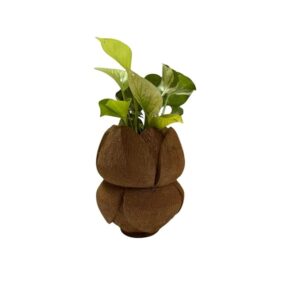 handcrafted coconut husk lotus planter