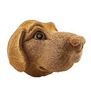 handcrafted coconut dog head