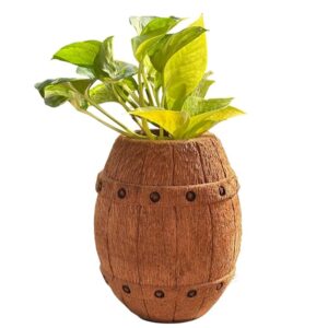 handcrafted coconut husk barrel planter